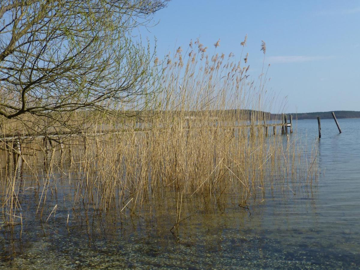 Altes Fischerhaus Villa Plau am See Eksteriør billede